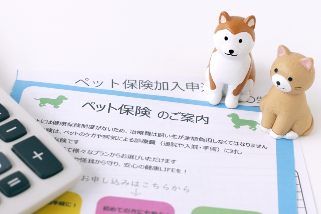 保険会社による違いに注意！補償範囲のチェック方法