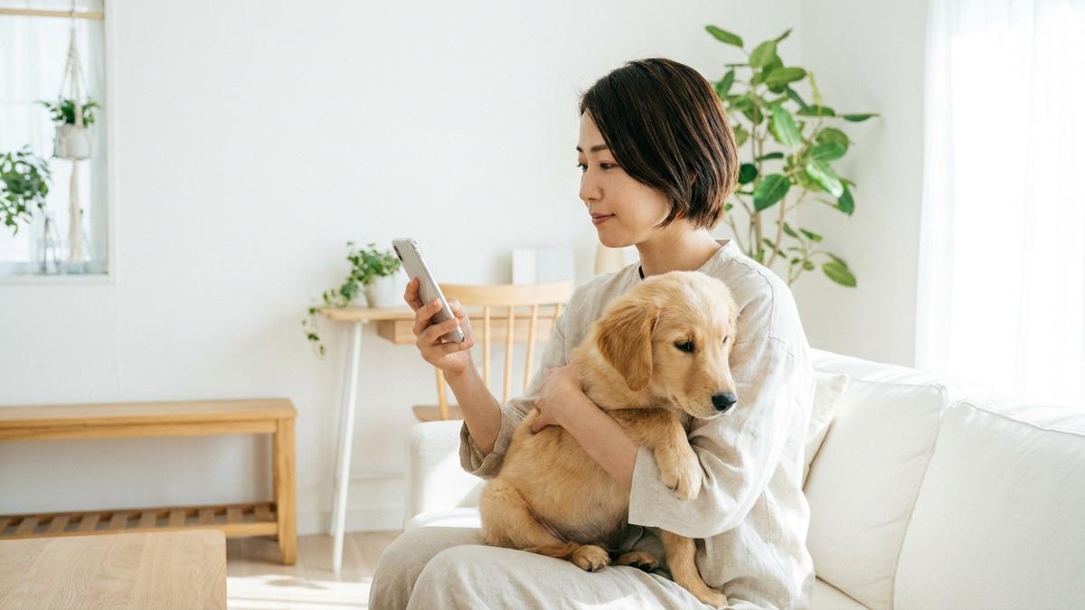 ペット保険を調べる30代の日本人女性飼い主